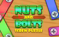 Nuts And Bolts Screw Puzzle