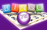 Bingo 75