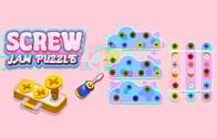 Screw Puzzle Game 3D