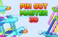 Pin Out Master 3D