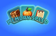 Memory Speed