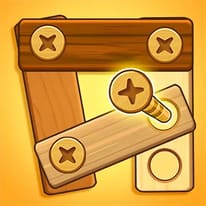 Nuts And Bolts Screw