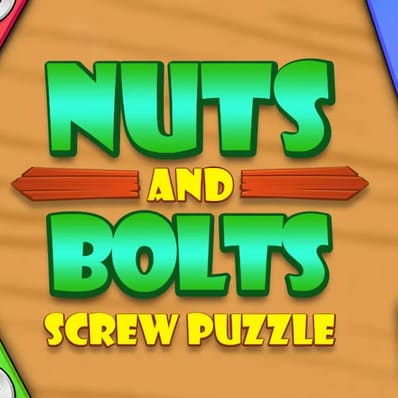 Nuts And Bolts Screw Puzzle